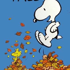 Meet your Posher, Jack ward